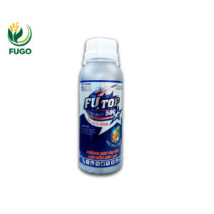 FUTOP 500 THAILAND