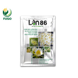 LÂN 86