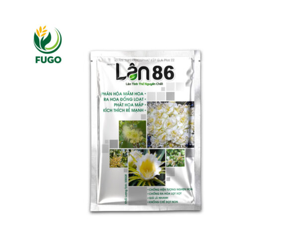 LÂN 86