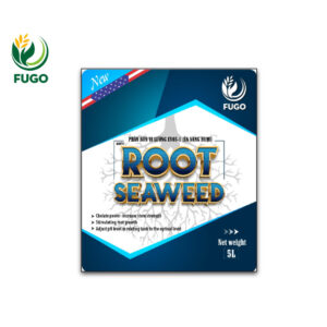 ROOT SEAWEED