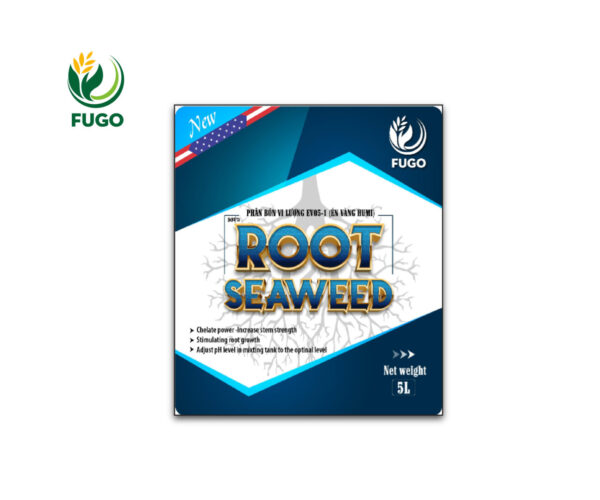 ROOT SEAWEED