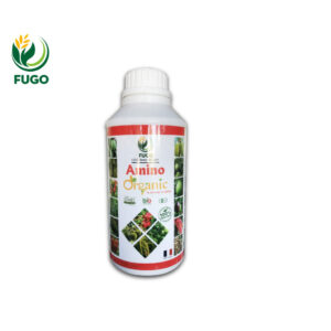 AMINO ORGANIC PHÁP